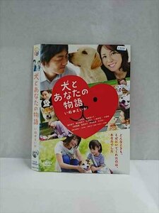 ○016999 レンタルUP☆DVD 犬とあなたの物語 いぬのえいが 1112 ※ケース無