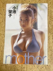 雑誌からの切り抜き 小池栄子9ページ/きなや青赤緑引き上がりハイレグビキニ水着格好木材や樹木に寝たり張り付いたりちらちら見てくる様子