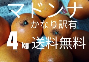 え〜と何じゃったかいね〜？あれじゃがね、あれ？●マドンナ　かなり訳あり まどんな約4キロサイズ混合　送料無料