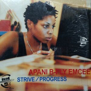 12inchレコード　APANI B-FLY EMCEE / STRIVE