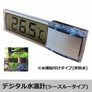 【送料込み！】デジタル水温計(シースルータイプ)