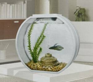 [ new goods ]Deco O mini aquarium set aquarium 10L. part shop. interior optimum designer's all-in-one aquarium 