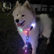 犬リード　リード 夜お散歩　安全対策　犬用リード LED 充電式 ライト 光るリード ライト 防水 事故防止_画像3