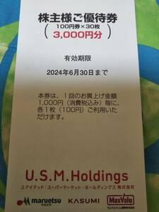 ユナイテッドスーパーマーケット　U.S.M.H株主優待券3000円分　