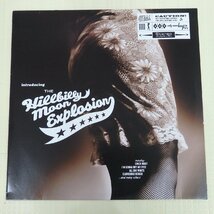 LPレコード　THE Hillebilly moon Explosion Introducing the Hillbilley ヒルビリー・ムーン・エクスプロージョン_画像1