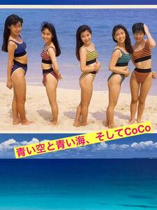 額装品★CoCo/ココ①★青い海、青い空、そして水着CoCo★当時印刷物★色紙サイズ★額入り★乙女塾瀬能あづさ三浦理恵子大野幹代★送料込み