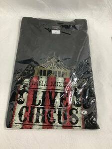 g_t R513 水樹奈々 2013 ライブグッズ Tシャツ 未開封