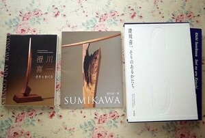 96440/澄川喜一 3冊セット そりとむくり 澄川喜一展 文化勲章受章記念 SUMIKAWA 2021年 そりのあるかたち 平凡社