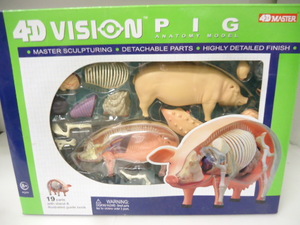 4D VISION PIG 豚　解剖学模型 立体パズル