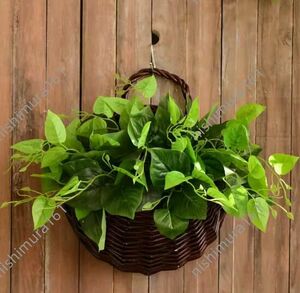 * hand made . braided. flower .x pothos artificial flower * atmosphere up * wall decoration * interior small articles * ornament *