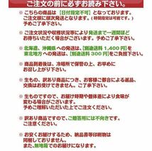 いよかん 伊予柑 訳あり 8kg 和歌山県産 送料無料(北海道、沖縄県、東北地方除く) 伊予柑 ご自宅用　_画像5