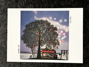 [ wistaria castle Kiyoshi .. Postcard]{ festival. night }