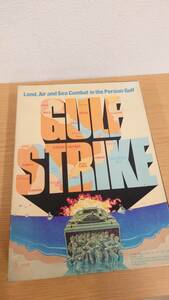 ビクトリーVictory　ボードゲーム　ガルフストライク (Gulf Strike) 日本語解説書付き　未切り離し