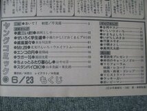 FSLe1982/06/23：ヤングコミック/早見優/政岡としや/小池たかし/長谷川法世/北見けんいち/能條純一/園田光慶/はやせ淳/山本貴嗣+東史朗_画像6