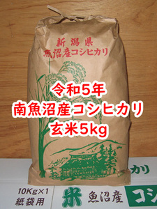 令和5年★南魚沼産コシヒカリ★玄米5kg★産地直送★