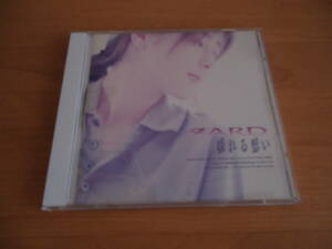 ZARD　揺れる想い　帯付CD　　坂井泉水