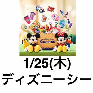 1/25 ディズニーシー　入園済みチケット　グッズ購入　購入用　オンラインショッピング 40周年　ストロベリーギフト　グランドフィナーレ 