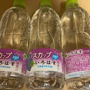 いろはすハスカップ540ml3本セット北海道限定商品