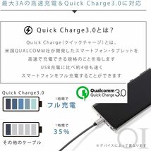 STAB ILIST USB-Type-C 充電ケーブル 2m 急速充電 USB3.0 3.1 変換 タイプc typec USB_画像3