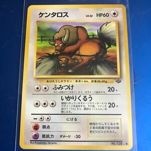 ポケモンカード 旧裏　ケンタロス　入手困難　状態良好　初期　マーク有　LV.32 HP60 ふみつけ　いかりくるう