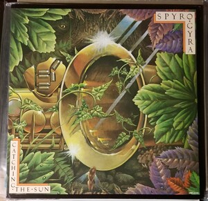 SPYRO GYRA/ CATCHING THE SUN/中古レコード