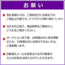 12. ロックンロール・ドクター 〜 ローウェル・ジョージ トリビュート・アルバム_画像3