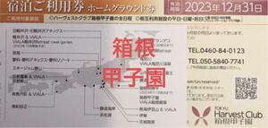 2023年 東急ハーヴェストクラブ　箱根甲子園　匿名配送　東急ハーベスト