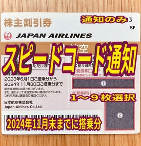 毎日10分スピード通知 JAL 日本航空 株主優待券 1枚/2枚/3枚/4枚〜9枚 国内 航空券 割引 搭乗期限24年11月末まで(13z