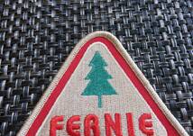 三角赤砂◆激渋カナダ FERNIE CANADA フェルニエ ファーニー スキー 雪山登山 ブリテッシュ コロンビア 刺繍ワッペン激渋◎アルペン◇DIY_画像8