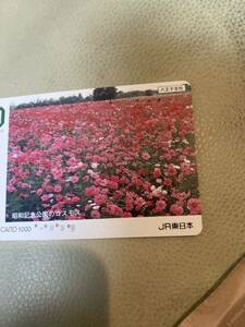 IO Card использовал Jr East Showa Memorial Park Hachioji.