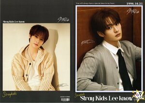 Lee Know リノ Stray Kids ストレイキッズ グッズ ポスター 10枚セット A4サイズ 10P ポスター K-POP