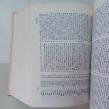 ☆イ 「織田仏教大辞典」織田得能　大蔵出版 　佛教辞典　大乗仏教　小乗仏教　　_画像5