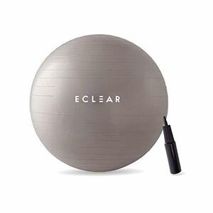 Elecom Balance Ball 65-см фитнес с фитнесом с воздушной загрузкой 500 кг серый HCF-BB65GY