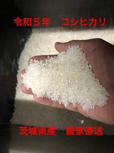 令和5年 コシヒカリ １０ｋｇ　無洗米 農家直送