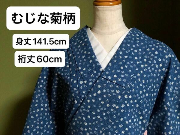 【ウール着物】最終価格！濃い青　むじな菊　広襟　肩滑り付き　良品