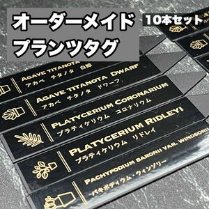 オーダーメイドプランツタグ　10本セット