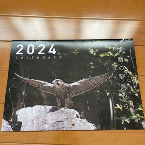 壁掛けカレンダー 2024 播磨の野鳥たち