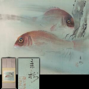 [2839100]【真作】今井景樹 遊鯛図 肉筆 着色金彩 絹本 掛軸 合箱 ◆三重県生/円山派/今尾景年師事/日本画/古画/古美術/時代/骨董/うぶ品