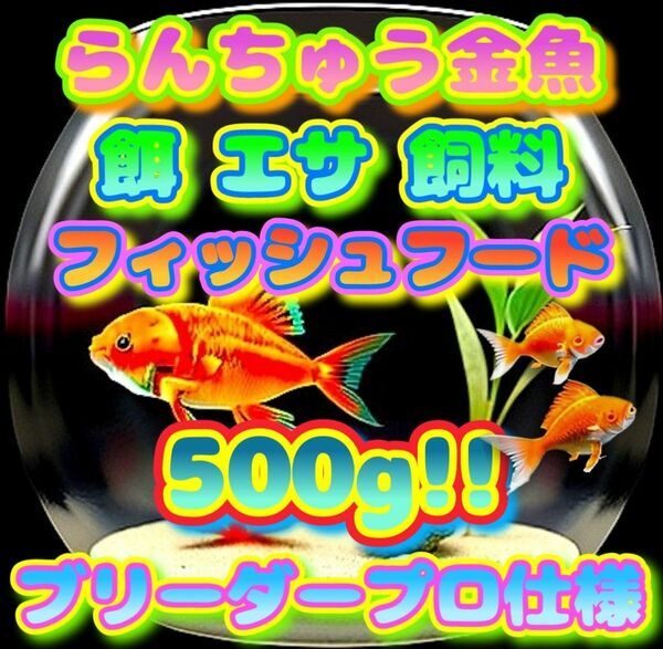 らんちゅう 餌 大盛500g!!金魚 エサ プロ仕様 フィッシュフード ブリーダーショップ使用 飼料 観賞魚 熱帯魚 土佐錦 丹頂