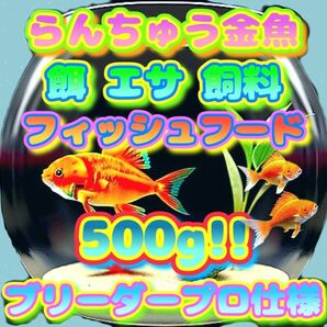 らんちゅう 餌 大盛500g!金魚 エサ プロ仕様 フィッシュフード ブリーダー推奨 飼料 繁殖 養殖 丹頂 江戸錦 土佐錦