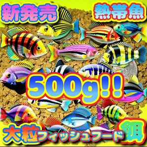 新販売 大粒 餌 大盛 500g 熱帯魚 エサ フィッシュフード お徳用 プロ仕様 シクリッド エンゼル プレコ 植物乳酸菌配合