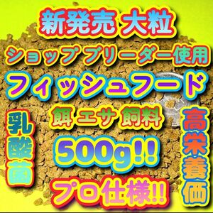 新販売 大粒 餌 大盛 500g 熱帯魚 エサ フィッシュフード お徳用 プロ仕様 シクリッド エンゼル プレコ 飼料 ブリーダー