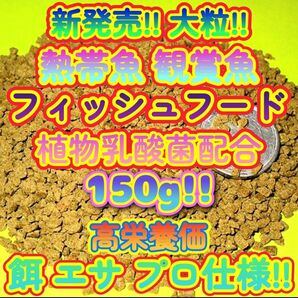 新販売 大粒 エサ 150g!プロ仕様 熱帯魚 観賞魚 餌 ショップ水族館ブリーダー使用プレコ シクリッド エンゼル ディスカス 