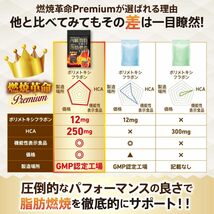 燃焼革命Premium 内臓脂肪を減らす 脂肪燃焼を高める ［機能性表示食品］ ダイエット サポート ブラックジンジャー HCA _画像7