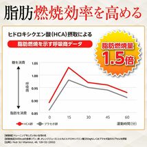 燃焼革命Premium 内臓脂肪を減らす 脂肪燃焼を高める ［機能性表示食品］ ダイエット サポート ブラックジンジャー HCA _画像5