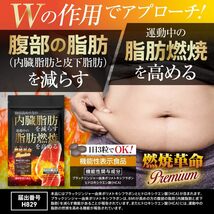 燃焼革命Premium 内臓脂肪を減らす 脂肪燃焼を高める ［機能性表示食品］ ダイエット サポート ブラックジンジャー HCA _画像2