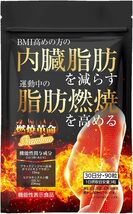 燃焼革命Premium 内臓脂肪を減らす 脂肪燃焼を高める ［機能性表示食品］ ダイエット サポート ブラックジンジャー HCA _画像1