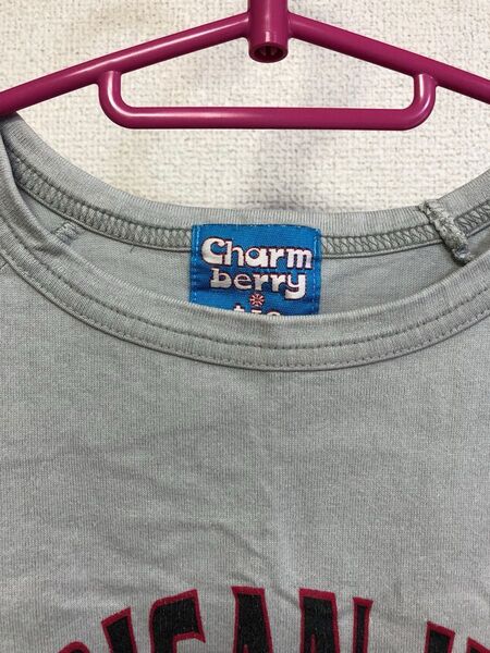 No.30 ロゴ グレー Tシャツ (5着組み合わせ¥500)
