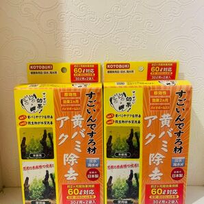 コトブキ 水槽用 すごいんですろ材 黄ばみ・アク除去 2セット!