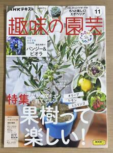 NHK趣味の園芸2023年11月号 果樹って楽しい/オリーブ・レモン・ミニリンゴ/パンジー＆ビオラ/エケベリア　送料185円